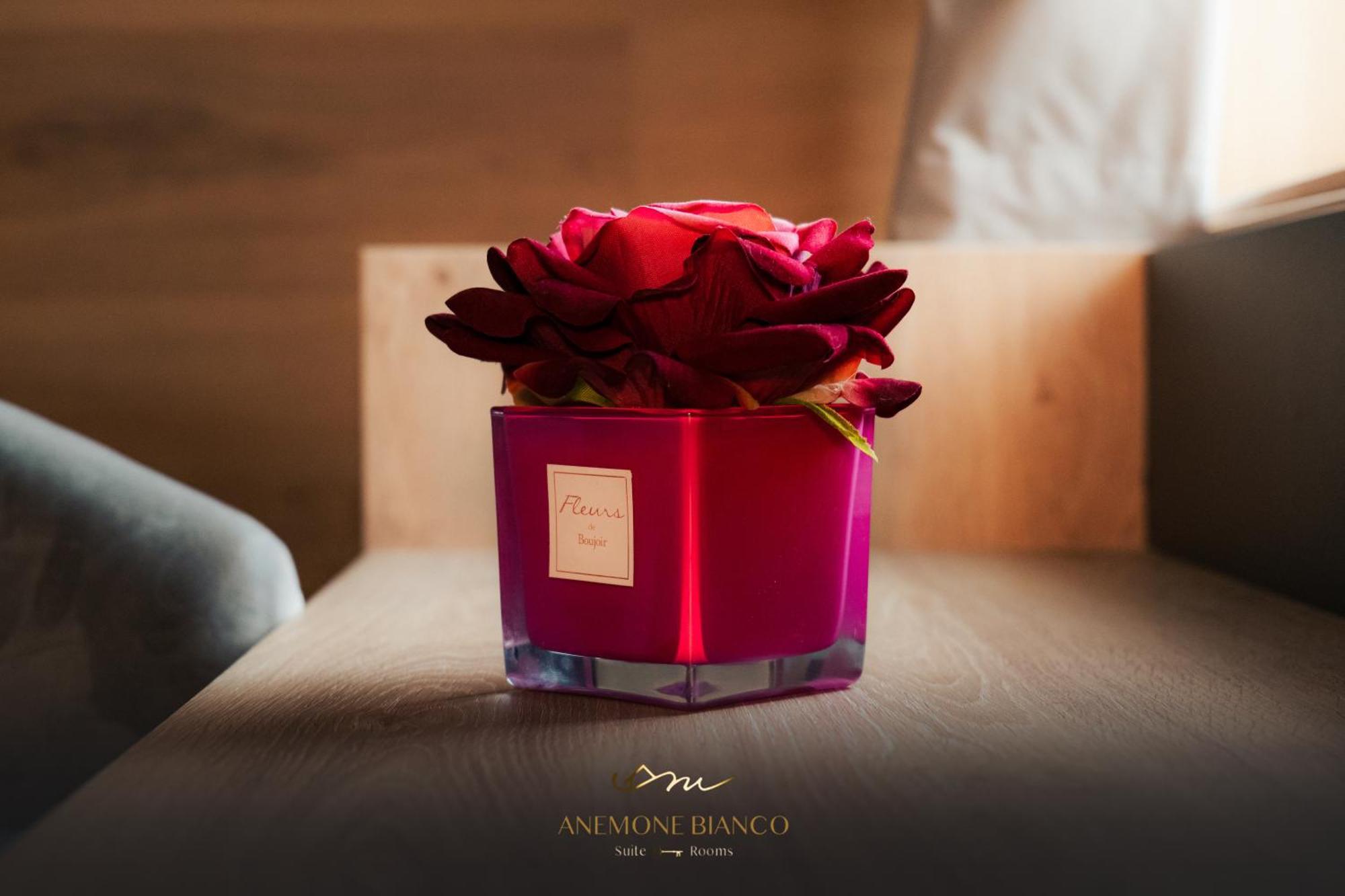Anemone Bianco Suite Rooms Passo del Tonale Exterior foto